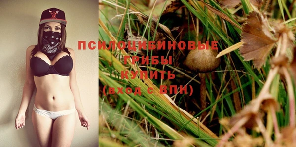 стаф Корсаков